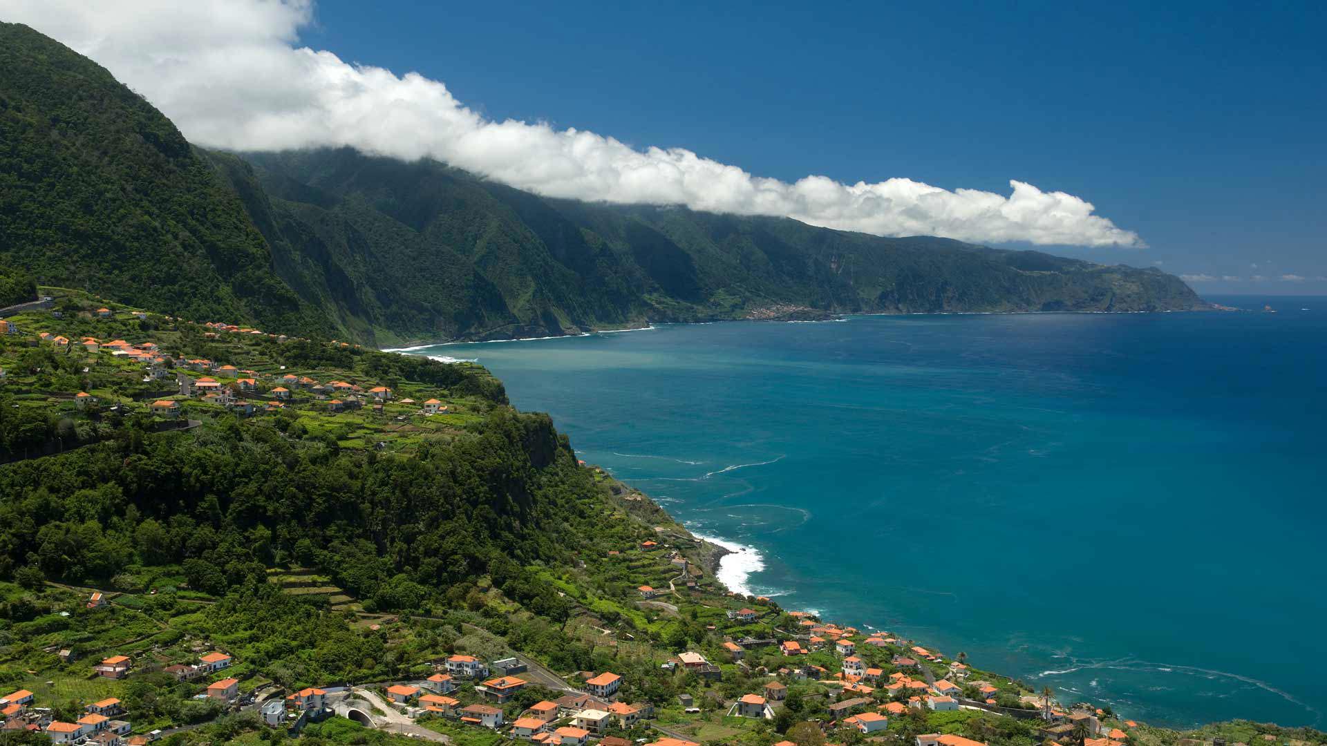 ponta delgada madeira 1