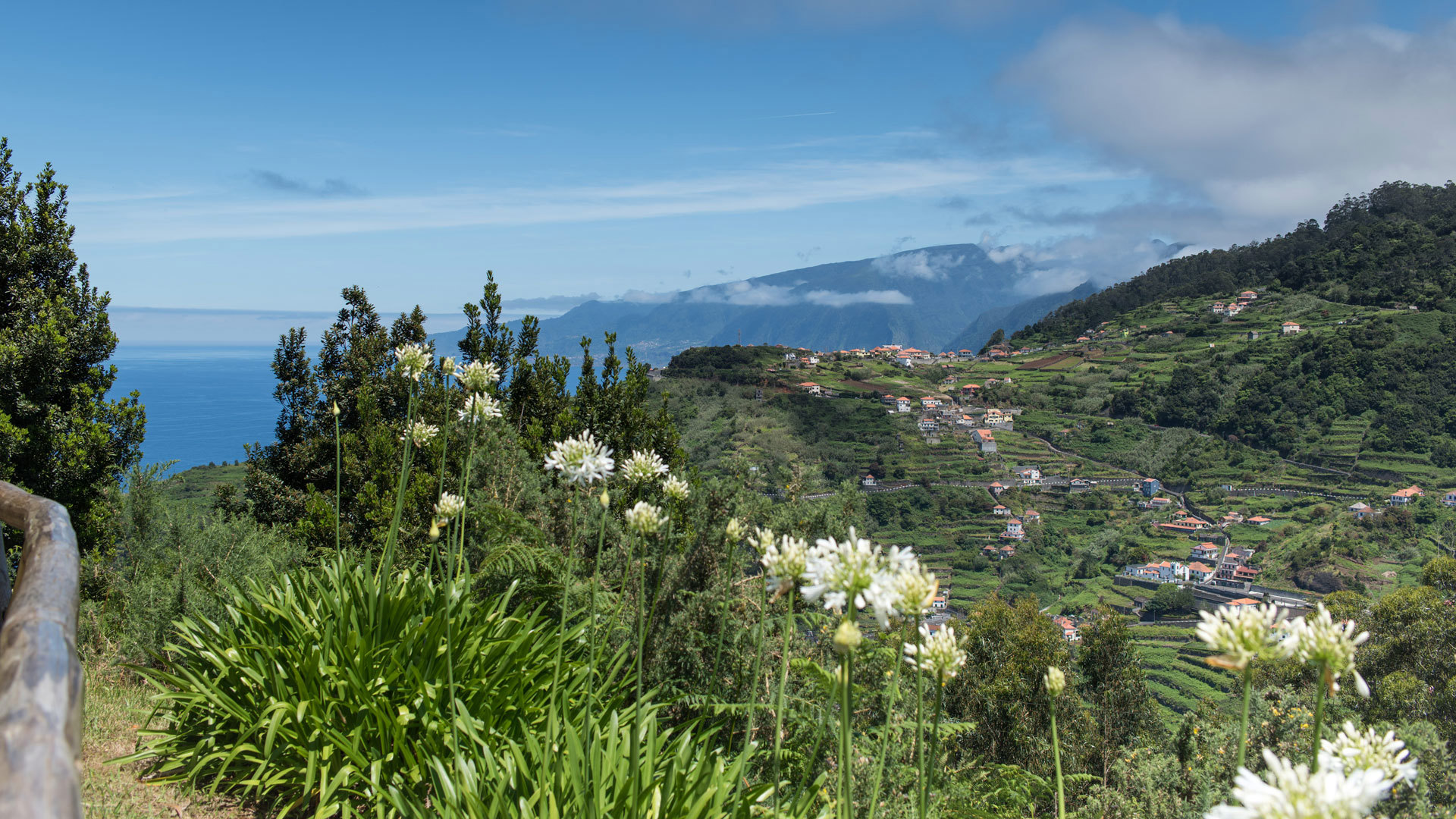 parque de merendas viewpoint 8