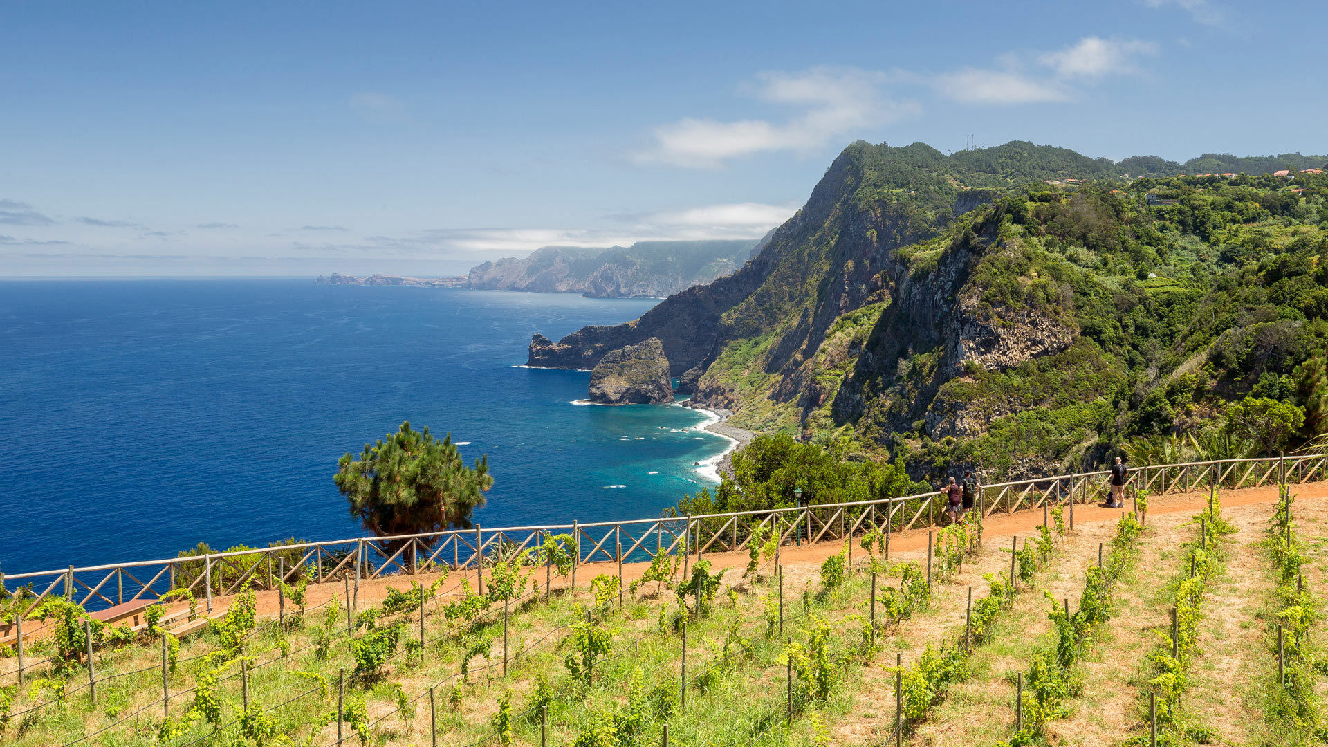 Point de vue de Quinta do Furão 6