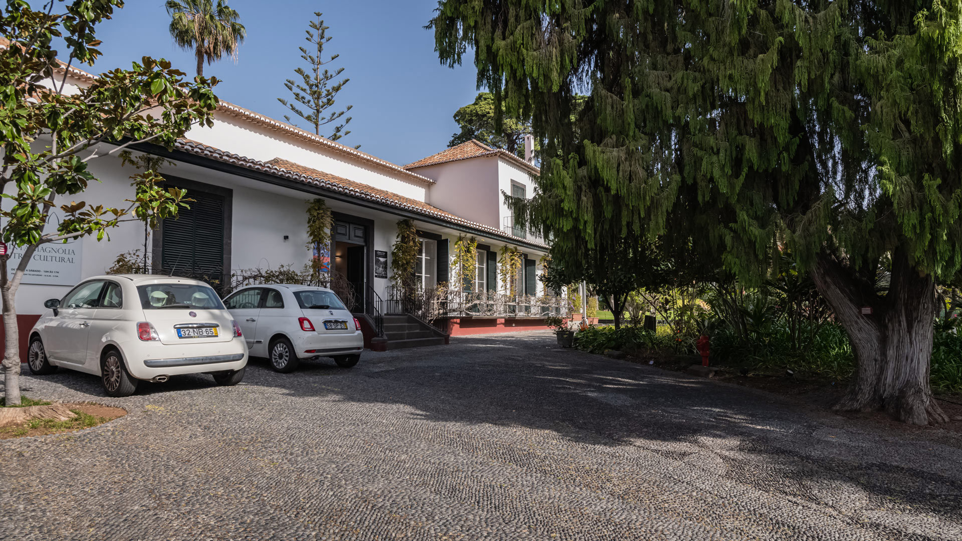 centro cultural de quinta magnólia 14