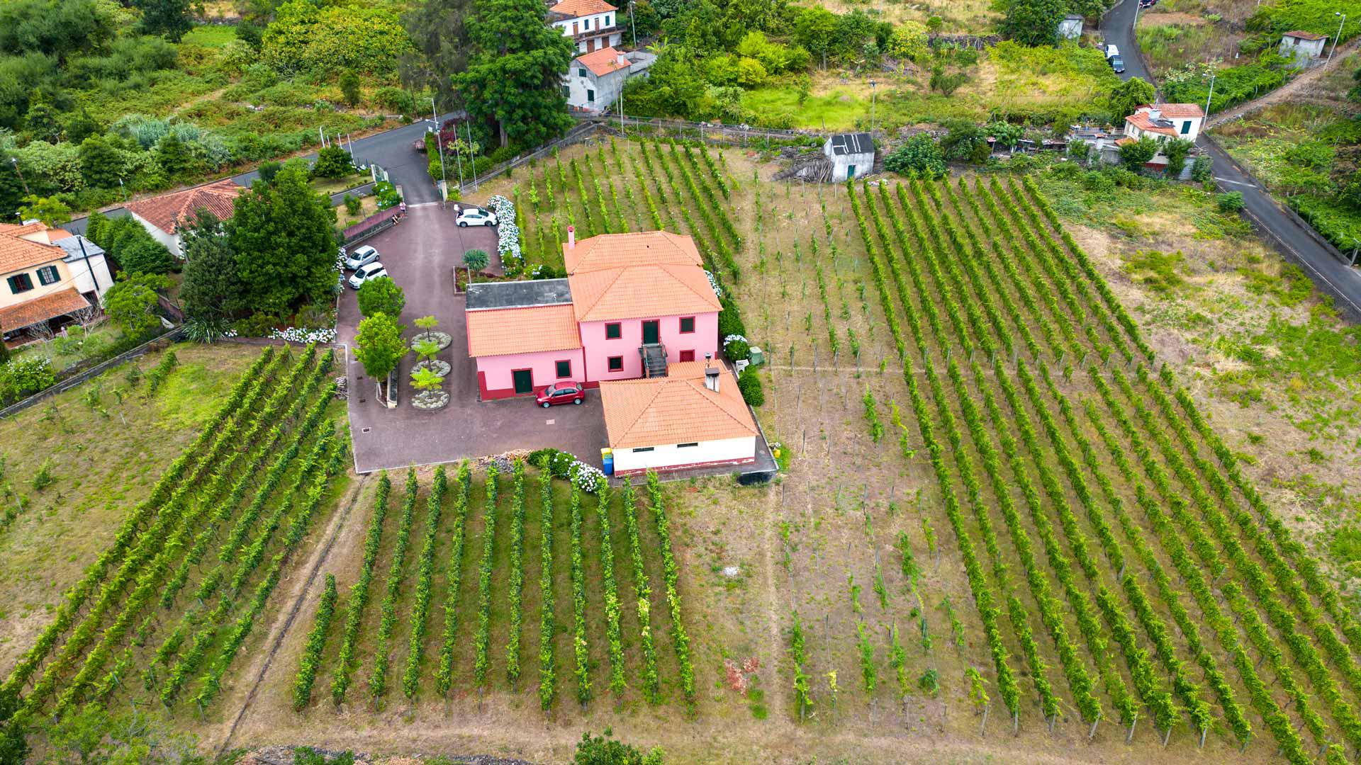 Museo de la Viña y el Vino 8