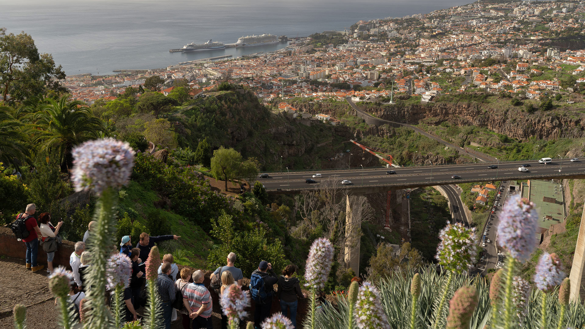 Botanical Garden Cable Car 6