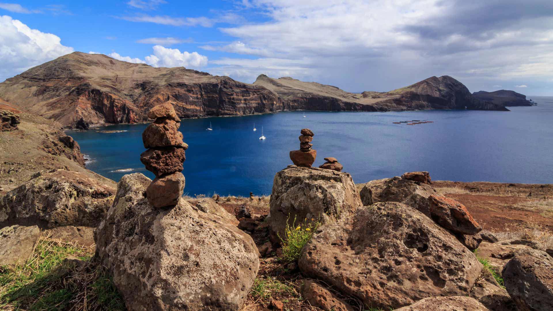 ponta de são lourenço madeira 25