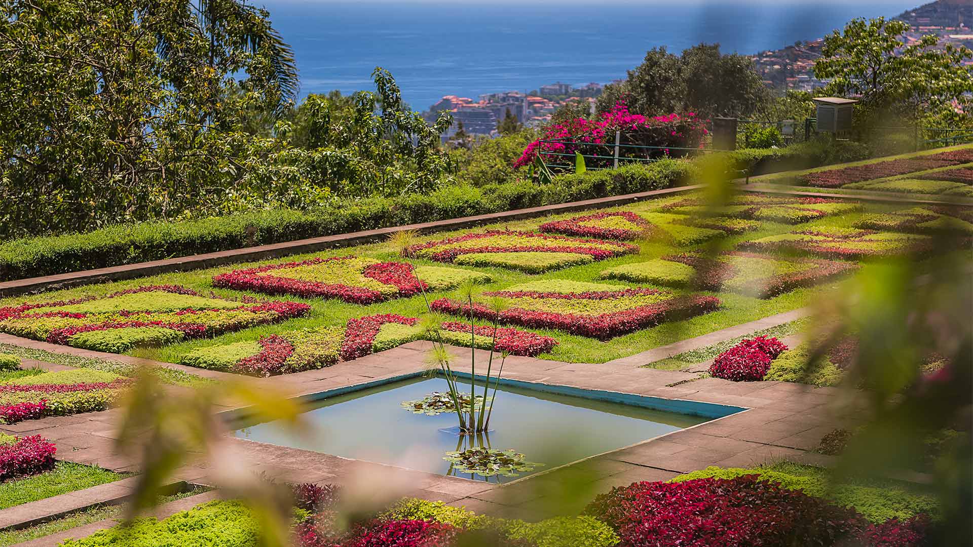  jardim botânico da madeira 4
