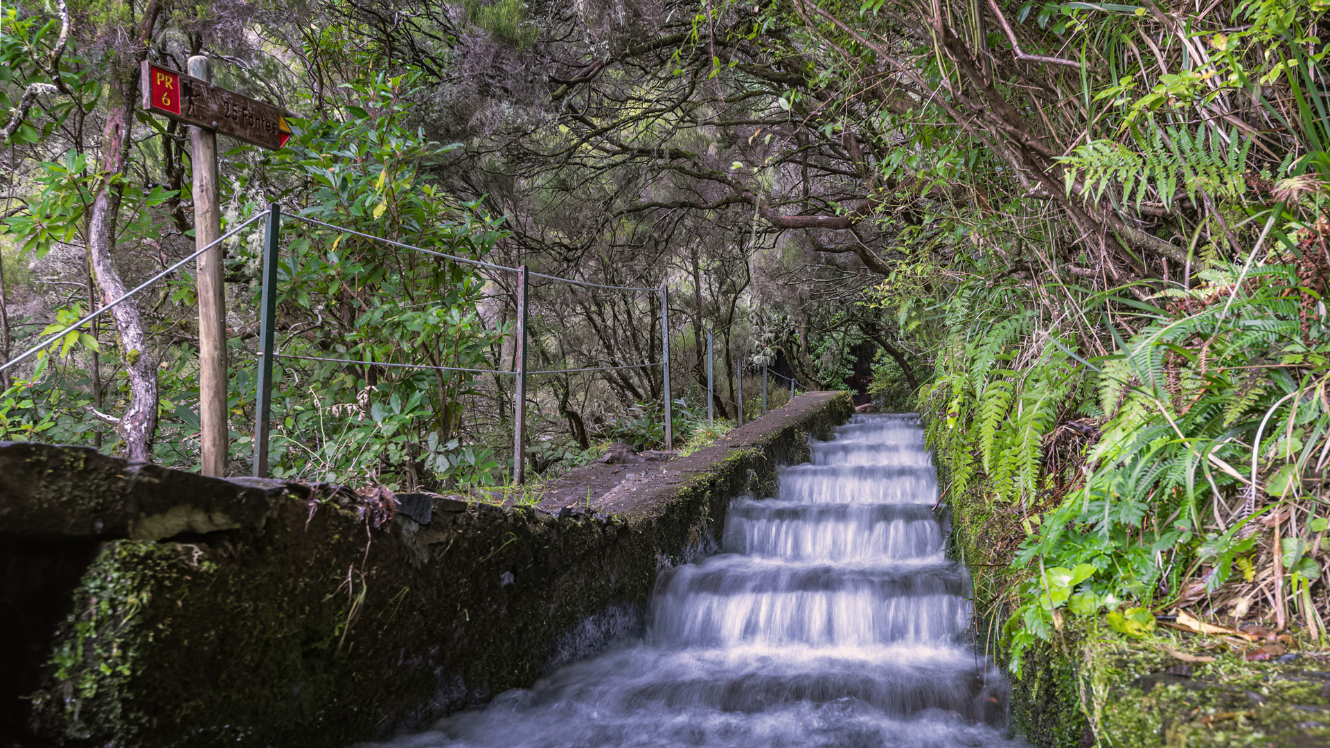 vereda do túnel do cavalo pr 6.6
