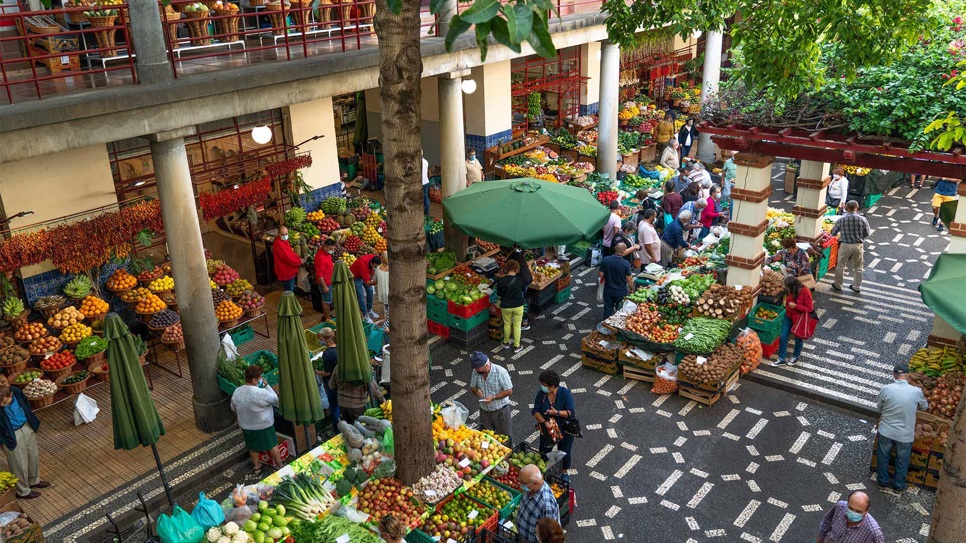 mercado dos lavradores 2