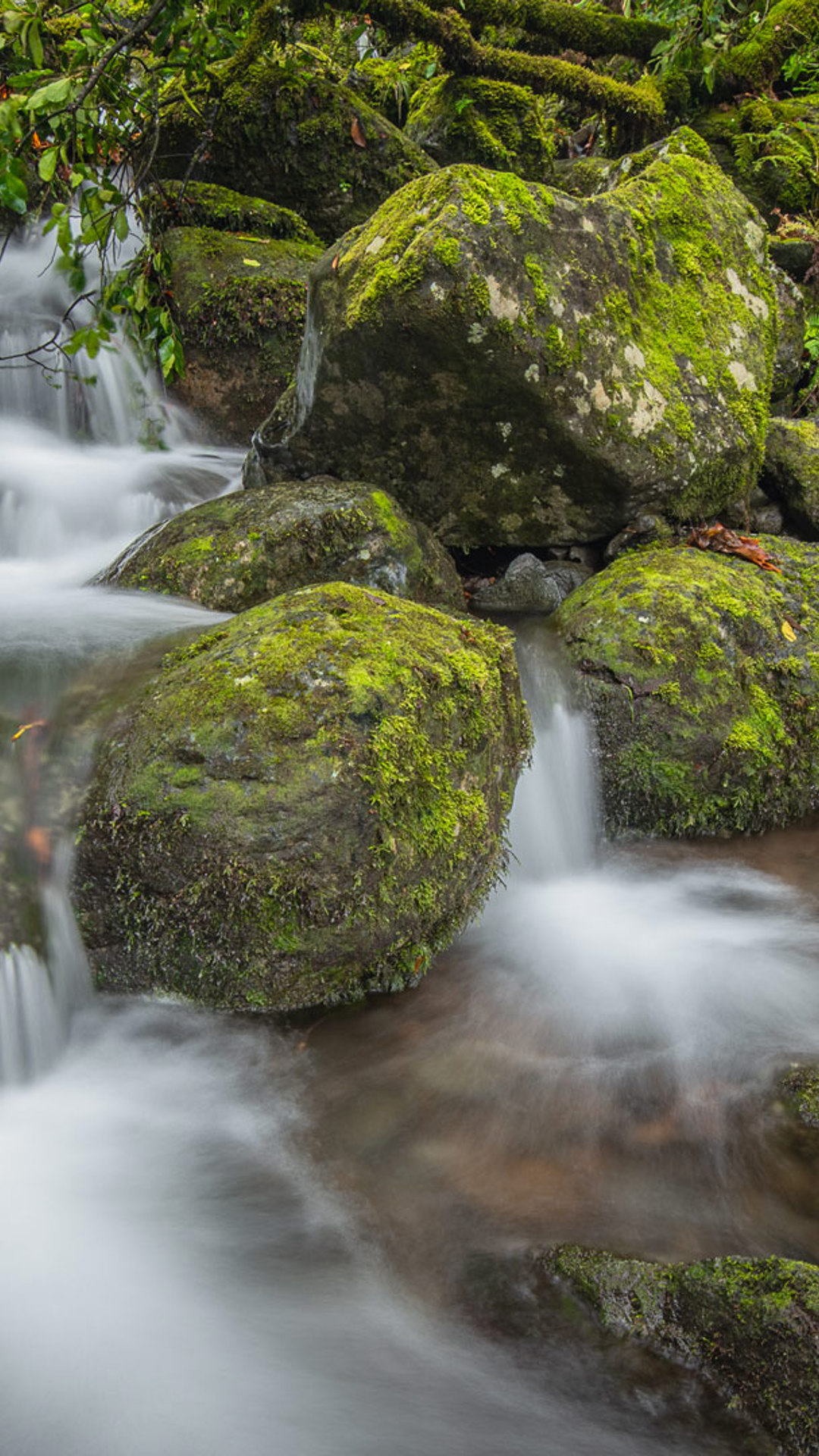 espaços naturais 1