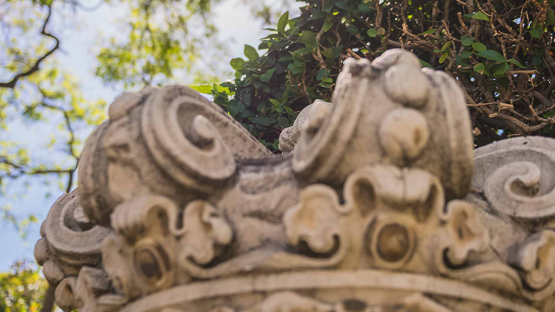 jardim municipal do funchal 1