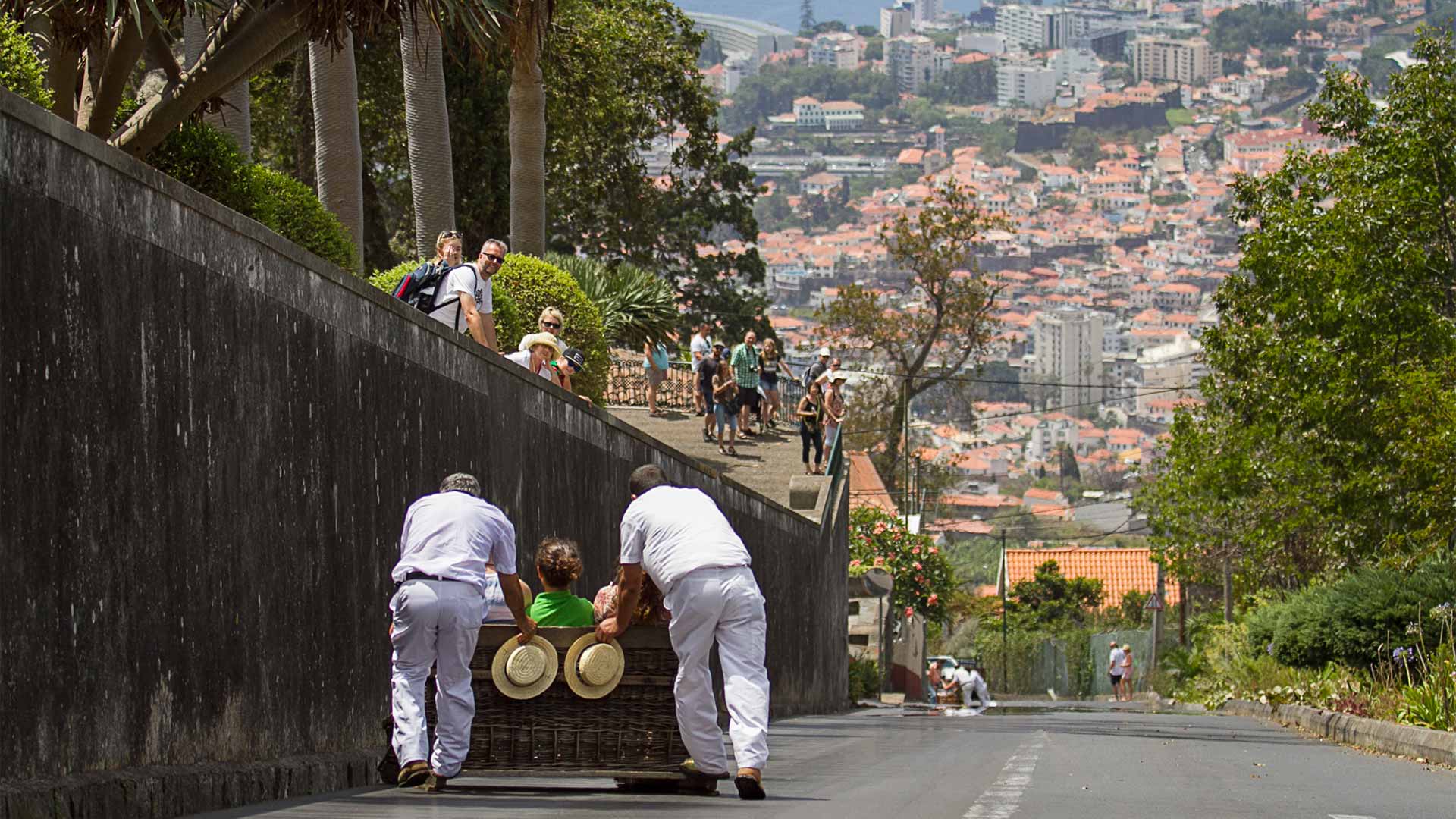 carrinhos de cesto madeira 4