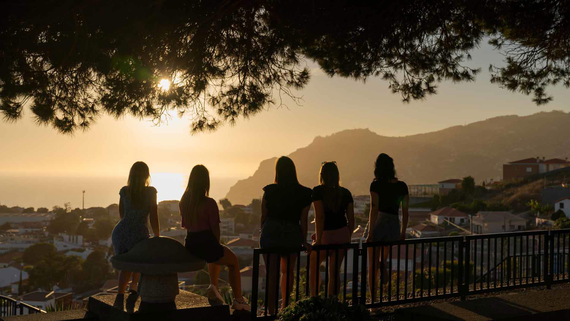 pico dos barcelos viewpoint 15