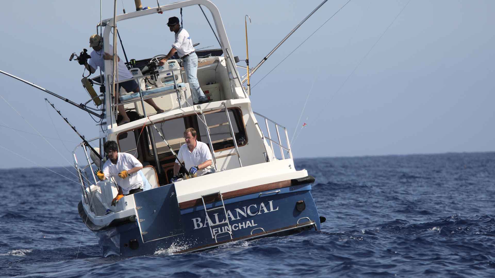 pesca desportiva na madeira 7
