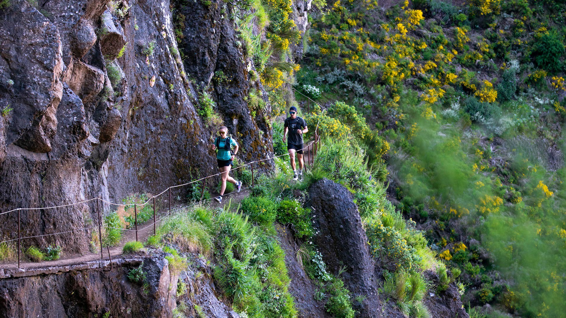 trail running madeira 90