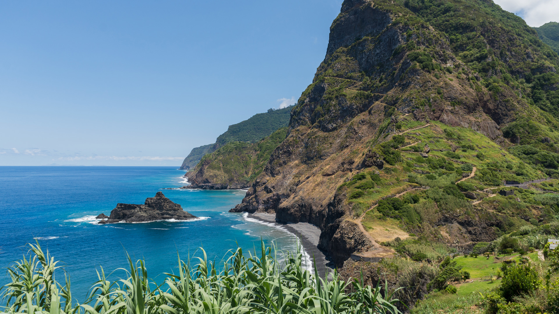 ponta delgada madeira 5