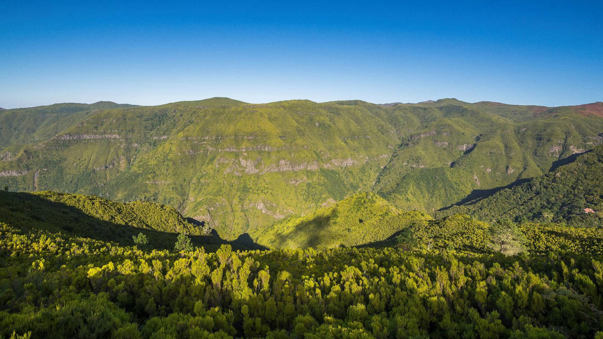vereda da palha carga pr 13.1