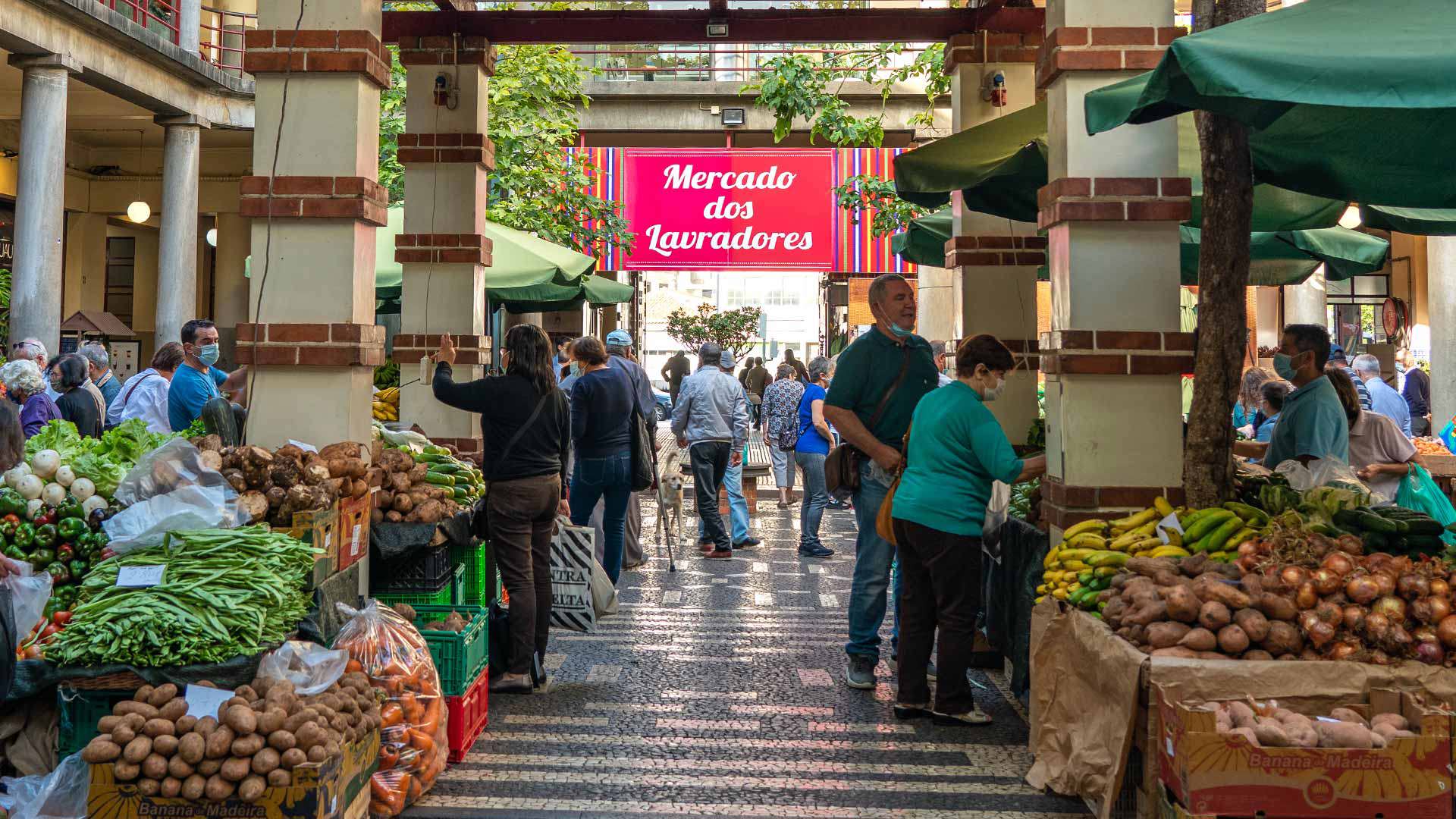 mercado dos lavradores 1