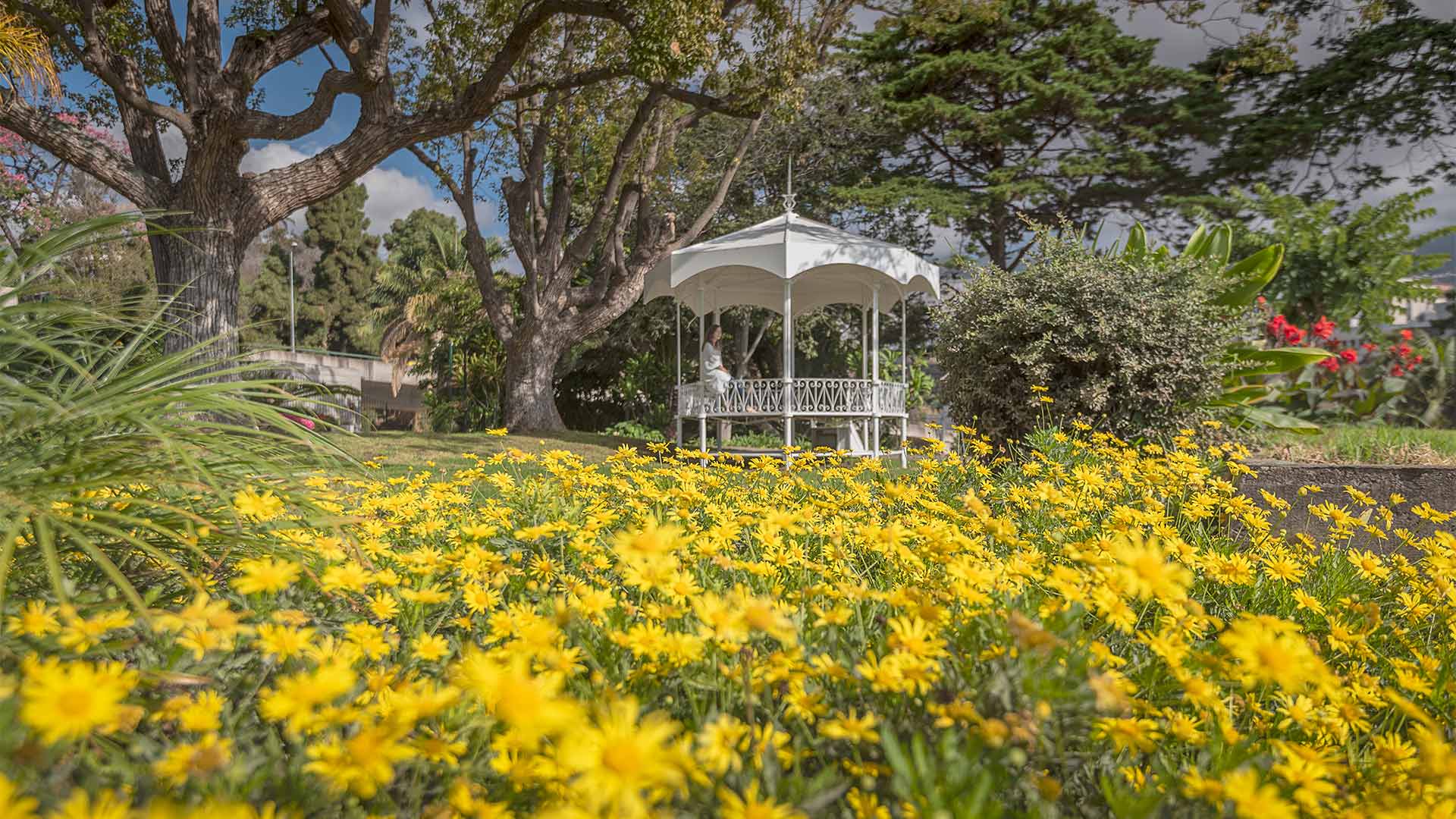 jardim da quinta magnólia 2