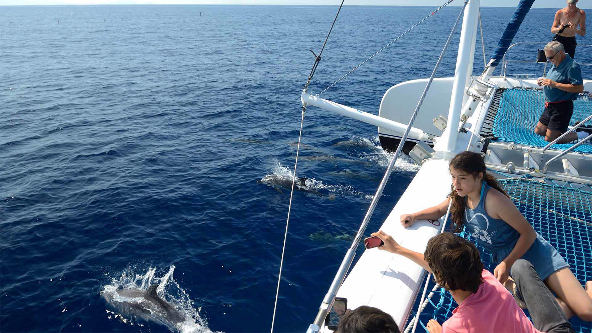 madeira boat trips 9