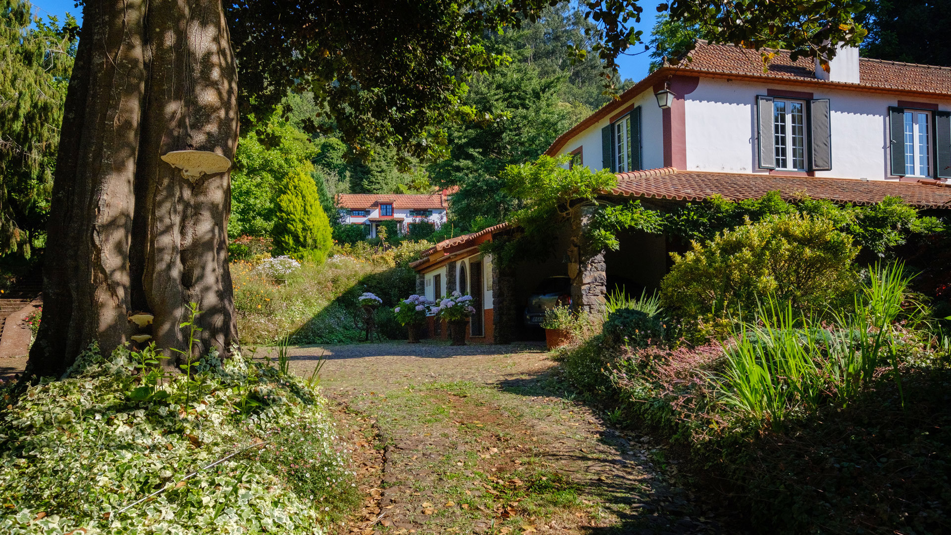 casas do valle paraizo madeira 6